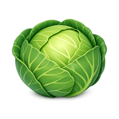 Modern 3D cabbage PNG clipart with transparent background
